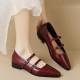 Closed Pointed Toe Strappy Pumps With Low Chunky Heels Closed Pointed Toe Strappy Pumps With Low Chunky Heels